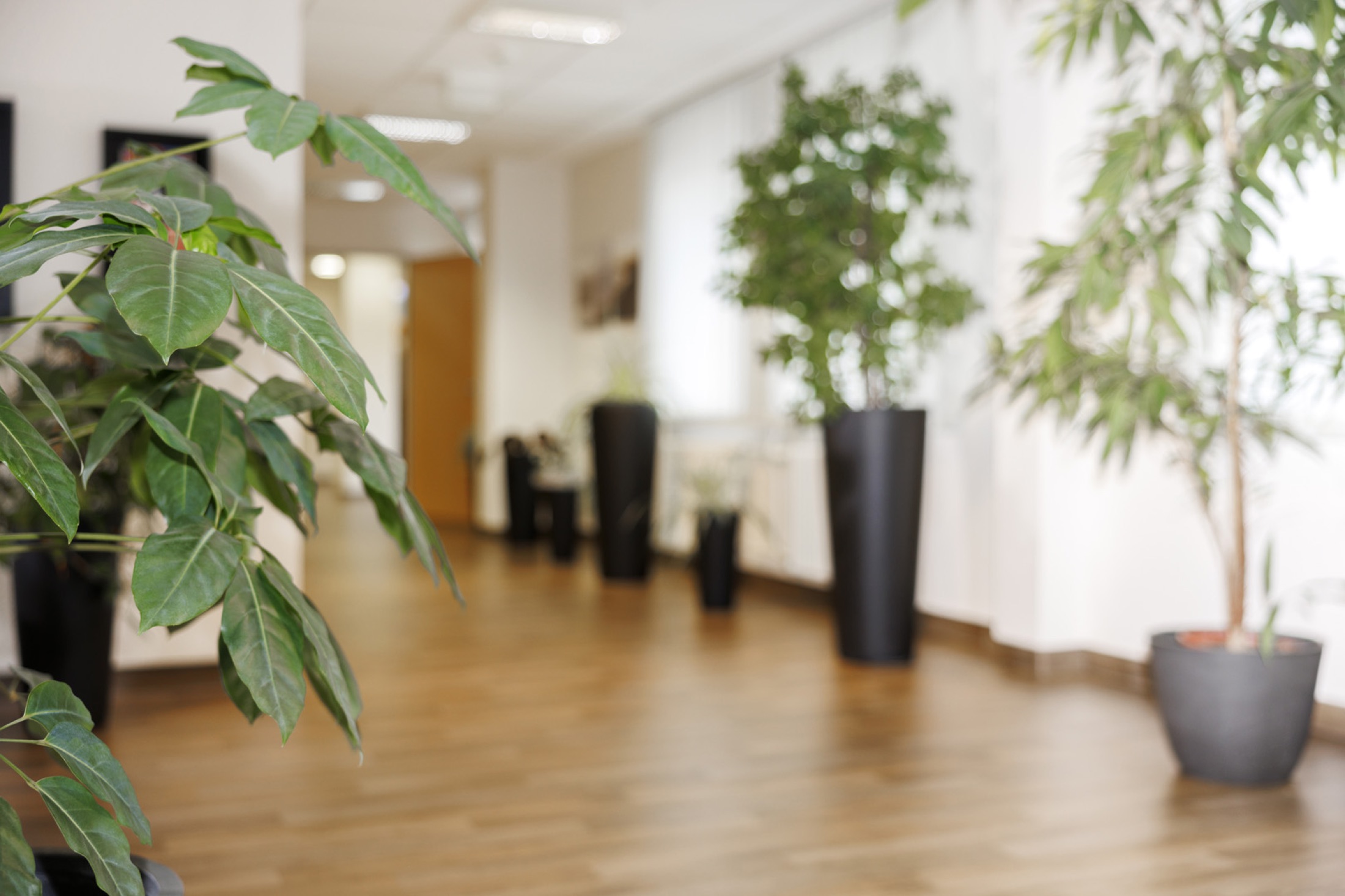 Praxisrundgang Strahlentherapie Meppen – Bild 01