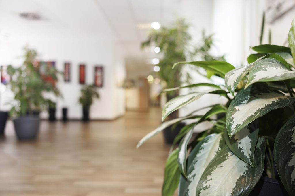 Praxisrundgang Strahlentherapie Meppen – Bild 02