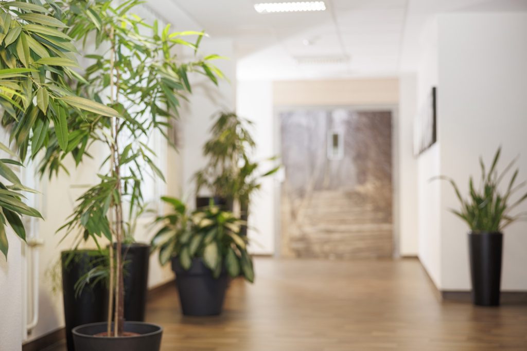 Praxisrundgang Strahlentherapie Meppen – Bild 05