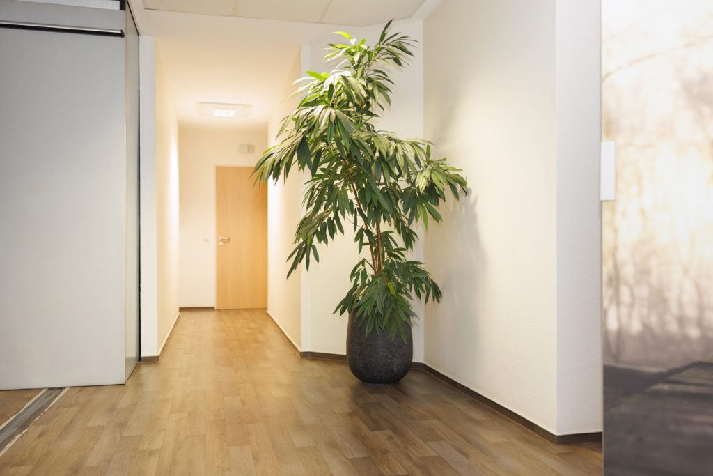 Praxisrundgang Strahlentherapie Meppen – Bild 15